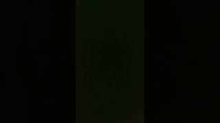 ビキニプールお姉さん水着美女